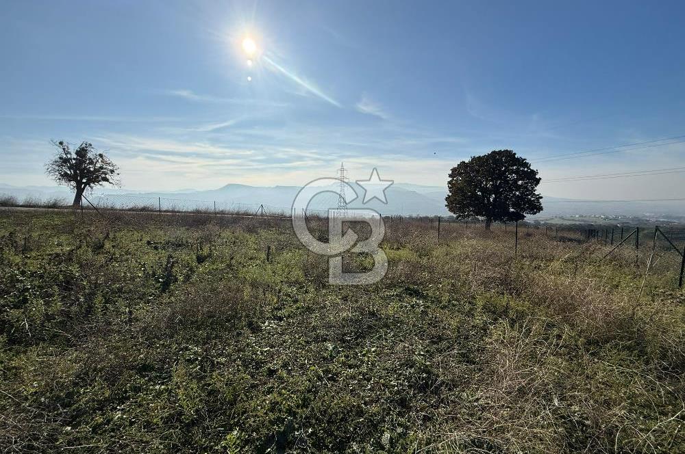 ÇANAKKALE IŞIKLAR KÖYÜNDE SATILIK KOOPARATİF HİSSESİ