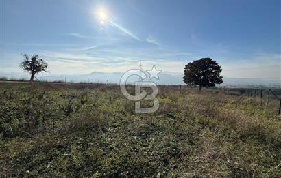 ÇANAKKALE IŞIKLAR KÖYÜNDE SATILIK KOOPARATİF HİSSESİ