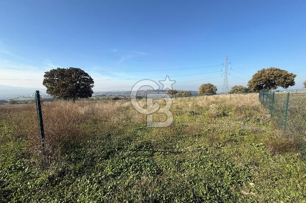 ÇANAKKALE IŞIKLAR KÖYÜNDE SATILIK KOOPARATİF HİSSESİ