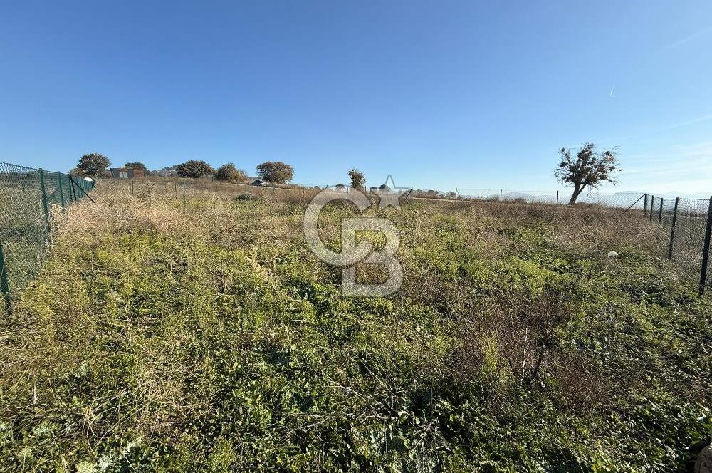 ÇANAKKALE IŞIKLAR KÖYÜNDE SATILIK KOOPARATİF HİSSESİ