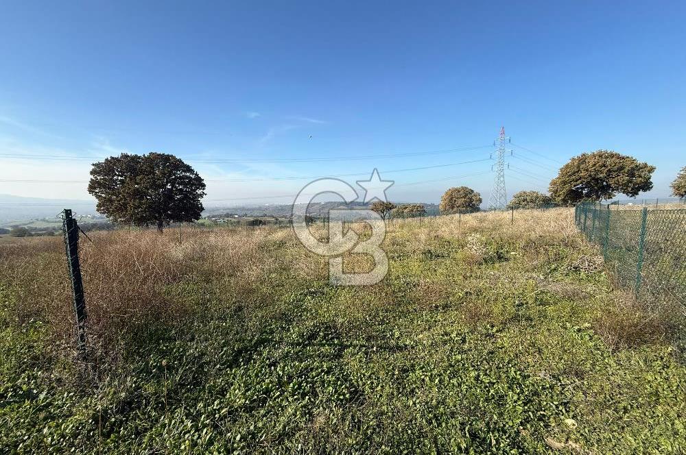 ÇANAKKALE IŞIKLAR KÖYÜNDE SATILIK KOOPARATİF HİSSESİ