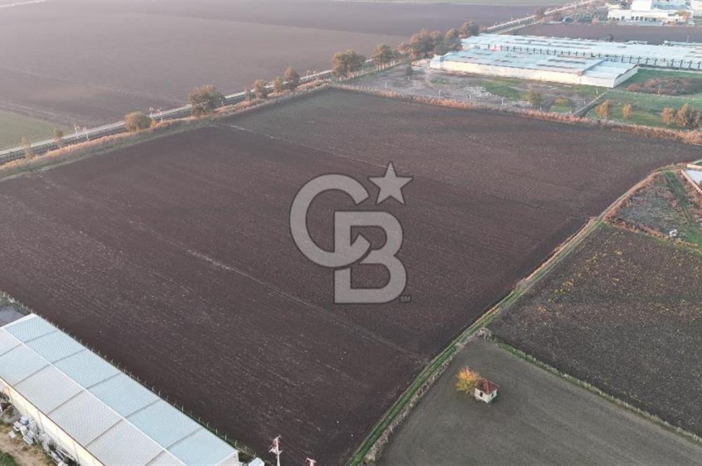 TORBALI PANCAR OSB YAKINI 15800 M2 SATILIK TARLA