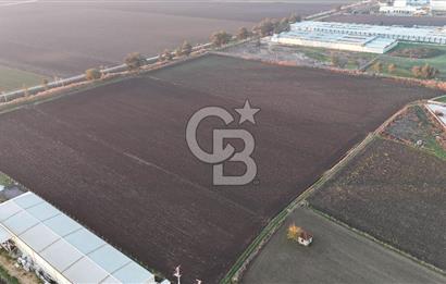 TORBALI PANCAR OSB YAKINI 15800 M2 SATILIK TARLA