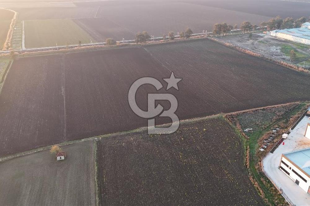 TORBALI PANCAR OSB YAKINI 15800 M2 SATILIK TARLA