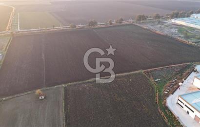 TORBALI PANCAR OSB YAKINI 15800 M2 SATILIK TARLA