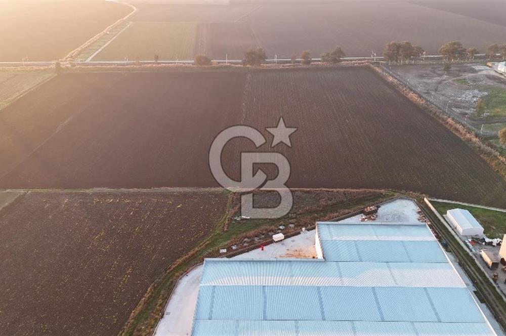 TORBALI PANCAR OSB YAKINI 15800 M2 SATILIK TARLA