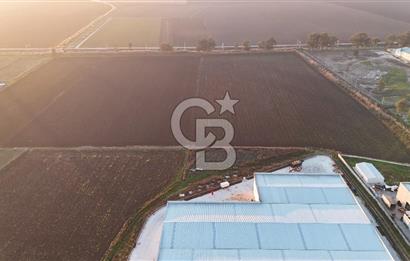 TORBALI PANCAR OSB YAKINI 15800 M2 SATILIK TARLA