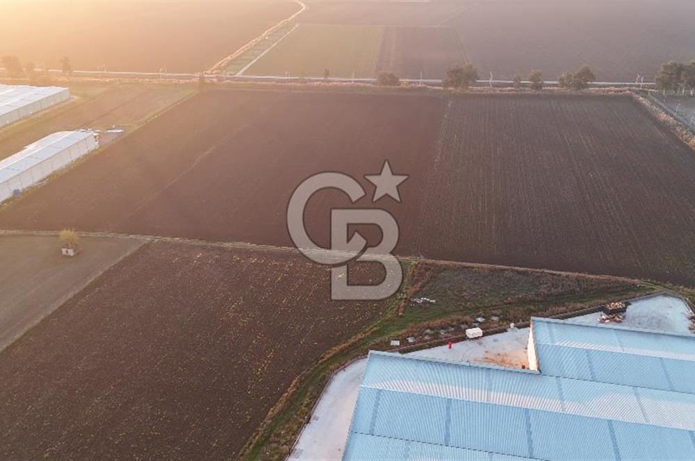 TORBALI PANCAR OSB YAKINI 15800 M2 SATILIK TARLA