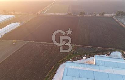 TORBALI PANCAR OSB YAKINI 15800 M2 SATILIK TARLA