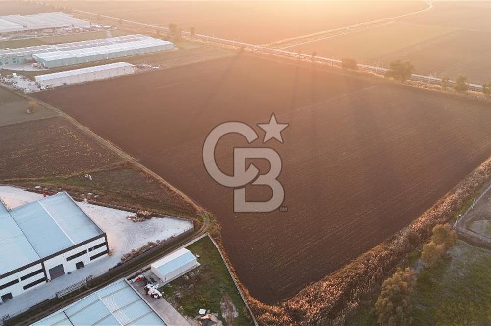 TORBALI PANCAR OSB YAKINI 15800 M2 SATILIK TARLA