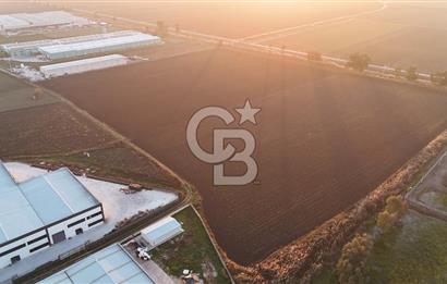 TORBALI PANCAR OSB YAKINI 15800 M2 SATILIK TARLA