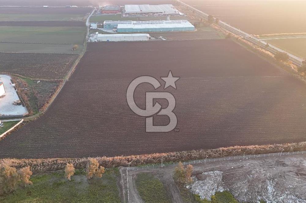 TORBALI PANCAR OSB YAKINI 15800 M2 SATILIK TARLA