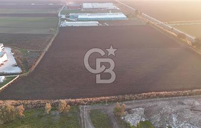 TORBALI PANCAR OSB YAKINI 15800 M2 SATILIK TARLA
