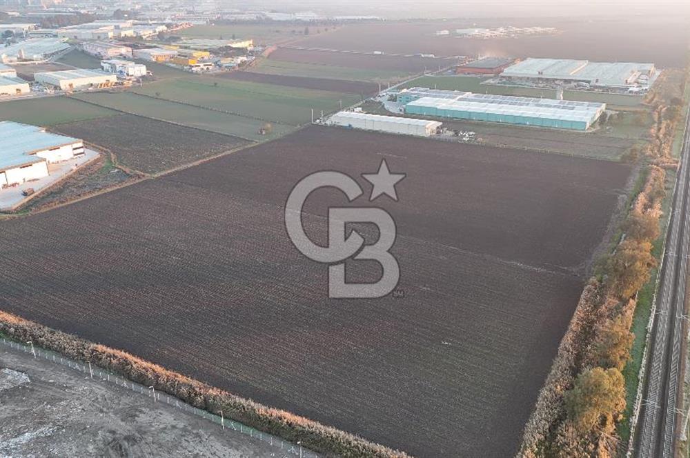 TORBALI PANCAR OSB YAKINI 15800 M2 SATILIK TARLA