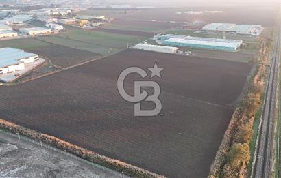 TORBALI PANCAR OSB YAKINI 15800 M2 SATILIK TARLA