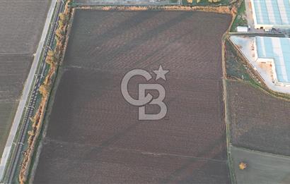 TORBALI PANCAR OSB YAKINI 15800 M2 SATILIK TARLA