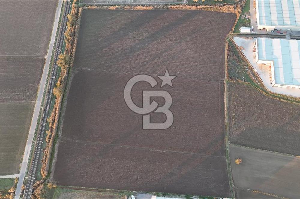 TORBALI PANCAR OSB YAKINI 15800 M2 SATILIK TARLA