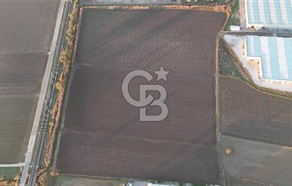 TORBALI PANCAR OSB YAKINI 15800 M2 SATILIK TARLA