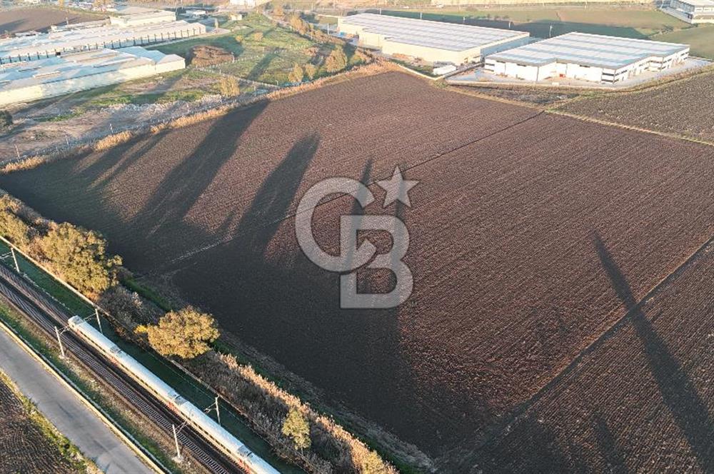 TORBALI PANCAR OSB YAKINI 15800 M2 SATILIK TARLA