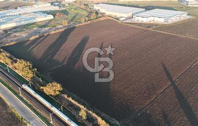 TORBALI PANCAR OSB YAKINI 15800 M2 SATILIK TARLA