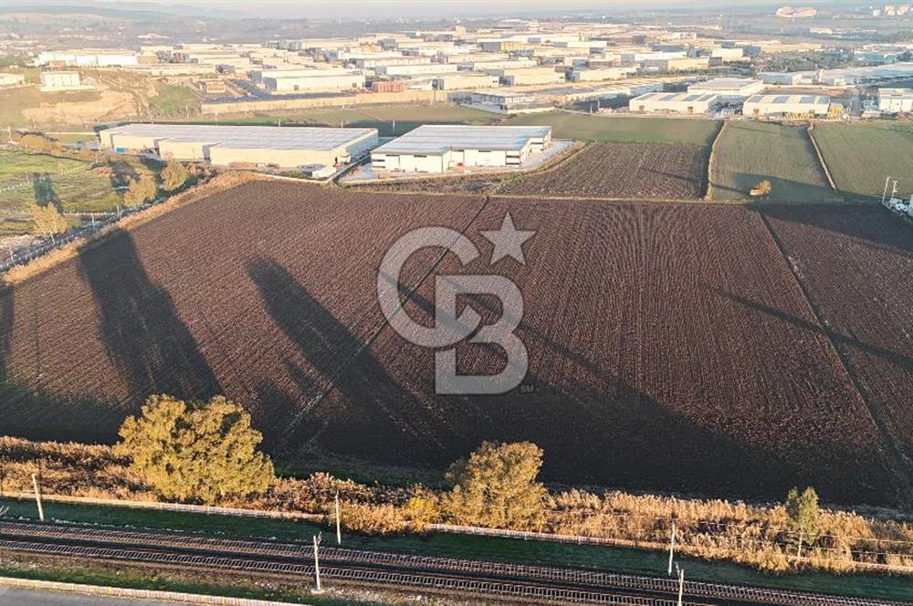 TORBALI PANCAR OSB YAKINI 15800 M2 SATILIK TARLA