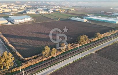 TORBALI PANCAR OSB YAKINI 15800 M2 SATILIK TARLA