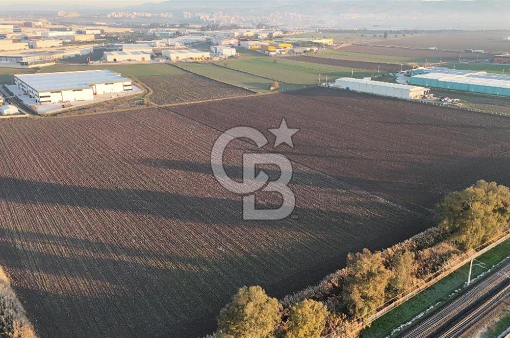 TORBALI PANCAR OSB YAKINI 15800 M2 SATILIK TARLA