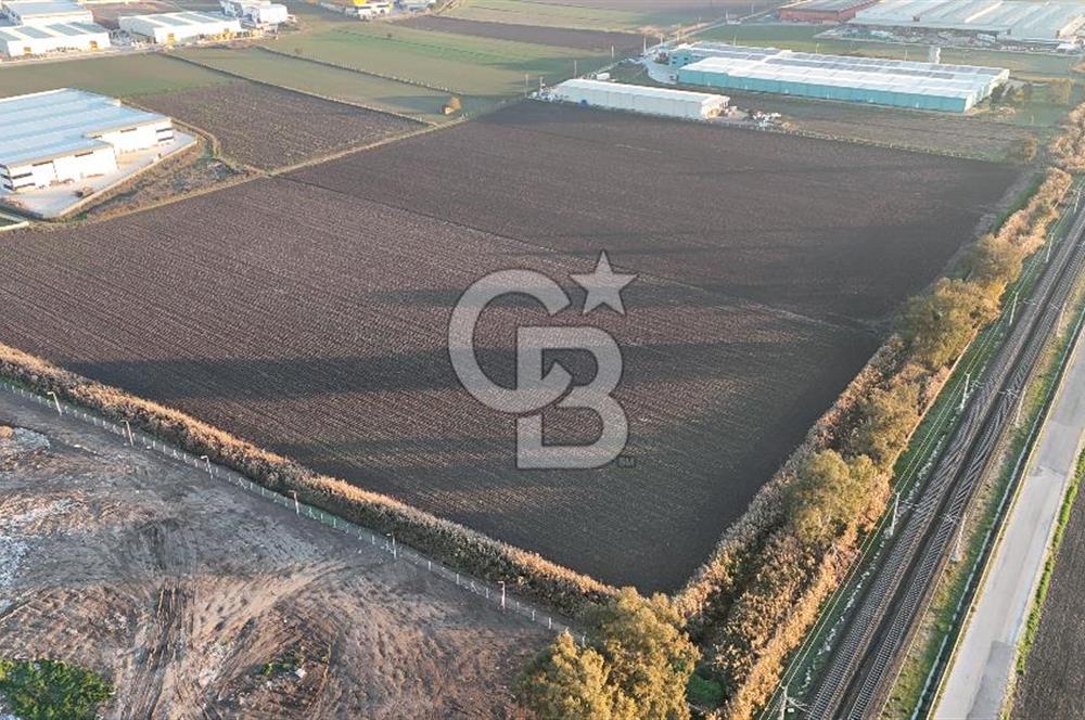 TORBALI PANCAR OSB YAKINI 15800 M2 SATILIK TARLA