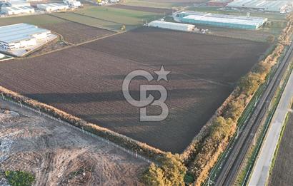 TORBALI PANCAR OSB YAKINI 15800 M2 SATILIK TARLA