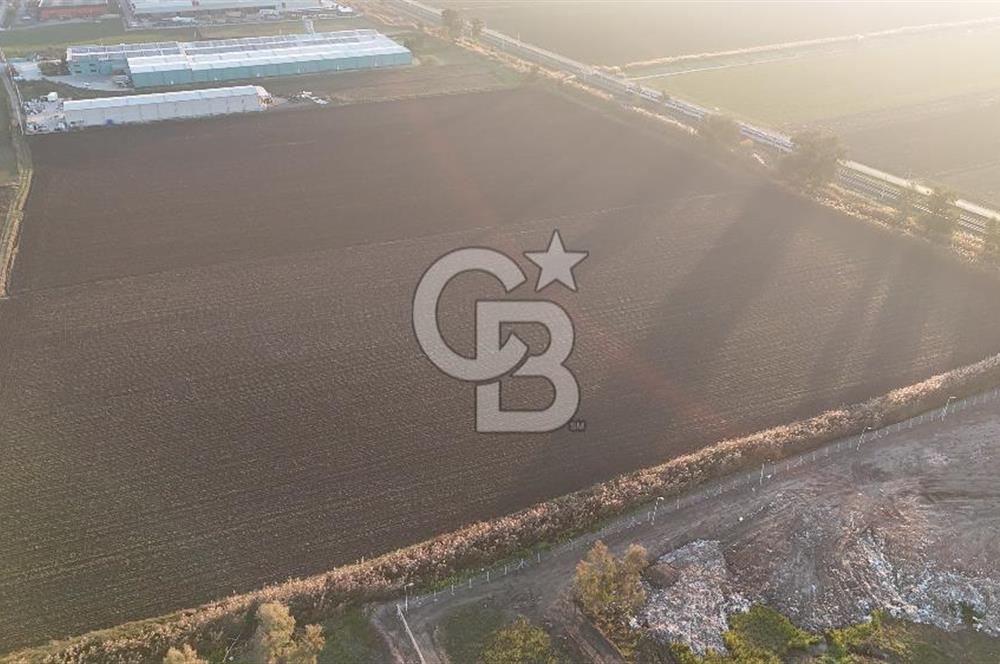 TORBALI PANCAR OSB YAKINI 15800 M2 SATILIK TARLA