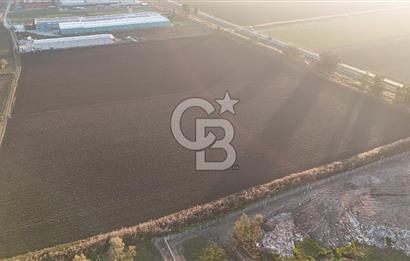 TORBALI PANCAR OSB YAKINI 15800 M2 SATILIK TARLA