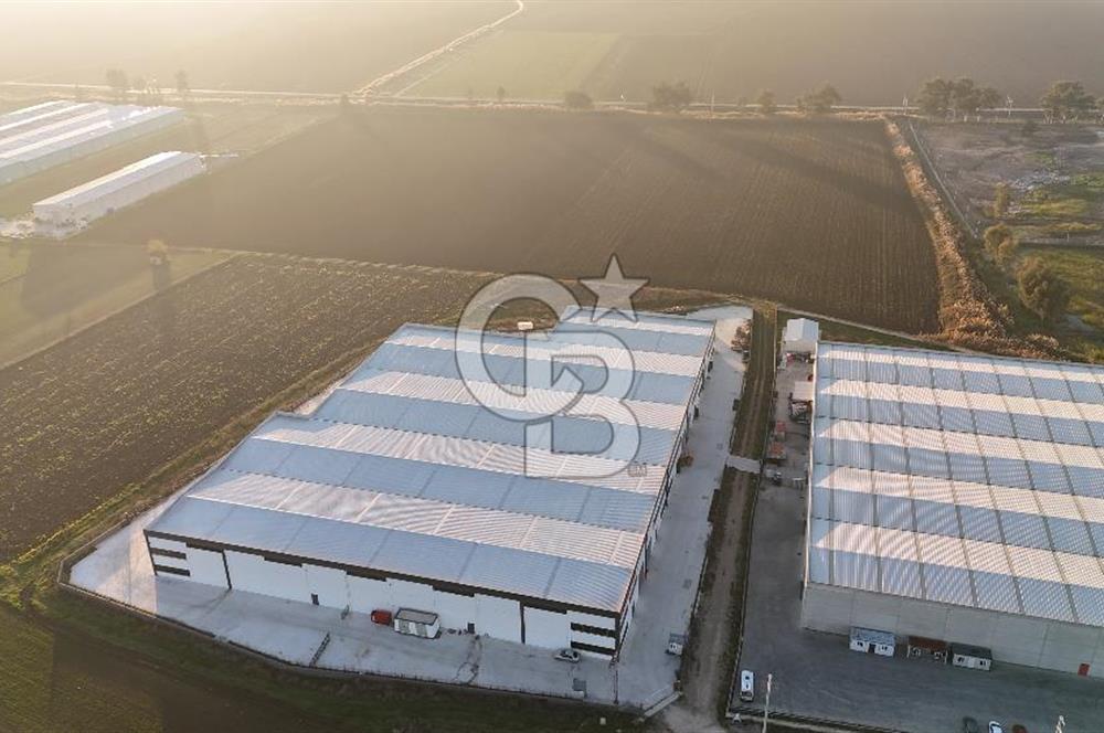 TORBALI PANCAR OSB YAKINI 15800 M2 SATILIK TARLA