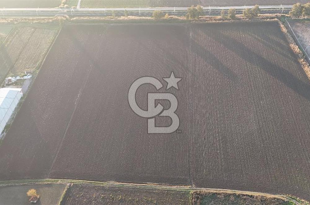 TORBALI PANCAR OSB YAKINI 15800 M2 SATILIK TARLA