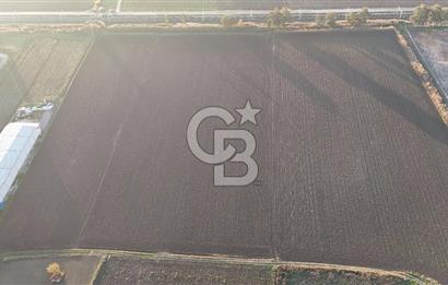 TORBALI PANCAR OSB YAKINI 15800 M2 SATILIK TARLA