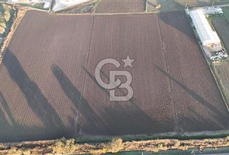 TORBALI PANCAR OSB YAKINI 15800 M2 SATILIK TARLA - 1 - 323570