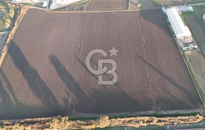 TORBALI PANCAR OSB YAKINI 15800 M2 SATILIK TARLA