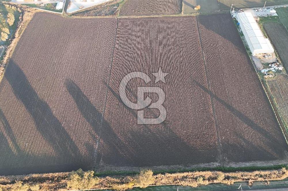 TORBALI PANCAR OSB YAKINI 15800 M2 SATILIK TARLA