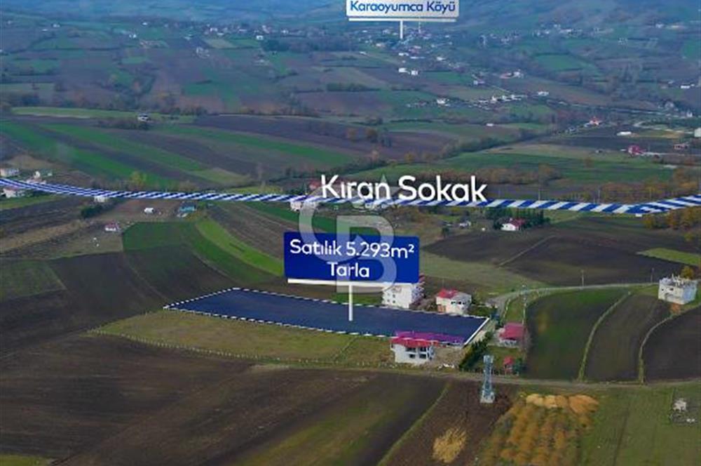 SAMSUN ATAKUM ALANLI'DA SATILIK TARLA