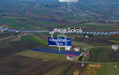 SAMSUN ATAKUM ALANLI'DA SATILIK TARLA