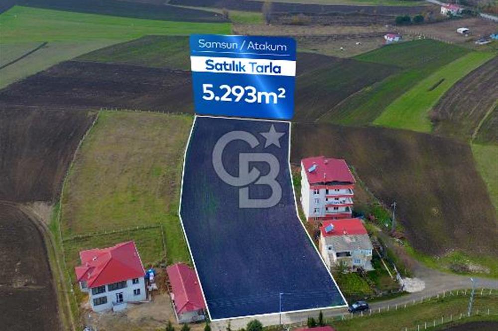 SAMSUN ATAKUM ALANLI'DA SATILIK TARLA