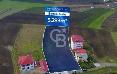 SAMSUN ATAKUM ALANLI'DA SATILIK TARLA