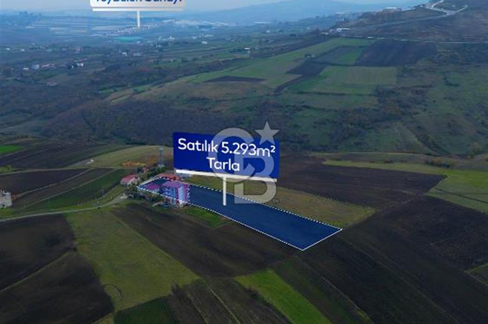 SAMSUN ATAKUM ALANLI'DA SATILIK TARLA