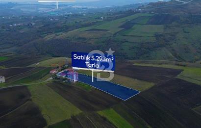 SAMSUN ATAKUM ALANLI'DA SATILIK TARLA