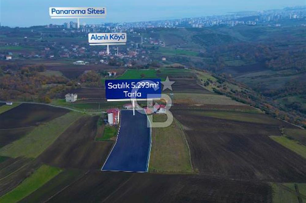 SAMSUN ATAKUM ALANLI'DA SATILIK TARLA
