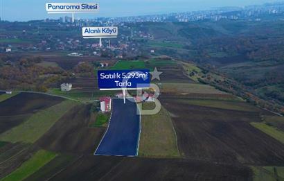 SAMSUN ATAKUM ALANLI'DA SATILIK TARLA