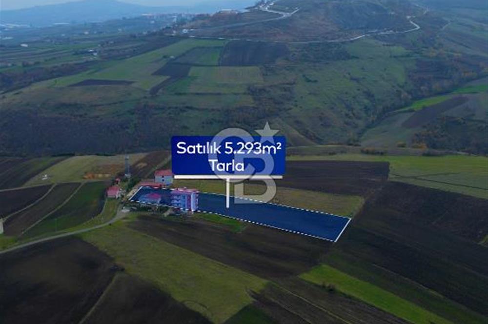 SAMSUN ATAKUM ALANLI'DA SATILIK TARLA