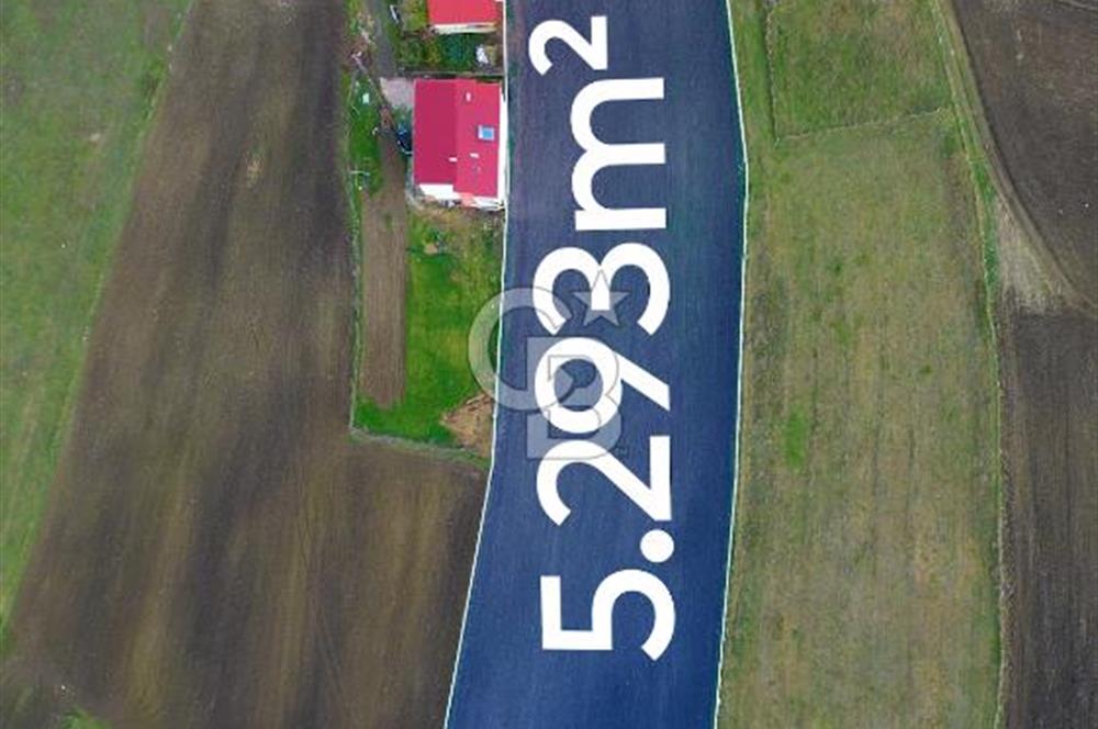 SAMSUN ATAKUM ALANLI'DA SATILIK TARLA