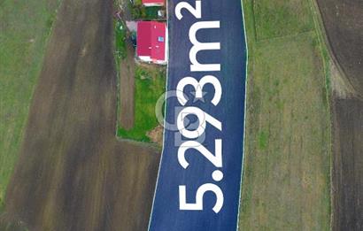 SAMSUN ATAKUM ALANLI'DA SATILIK TARLA