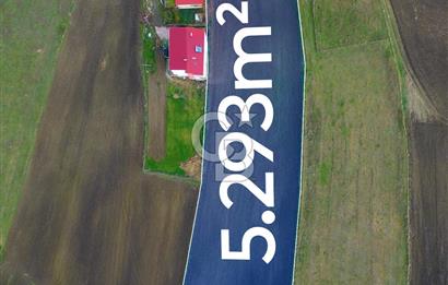 SAMSUN ATAKUM ALANLI'DA SATILIK TARLA