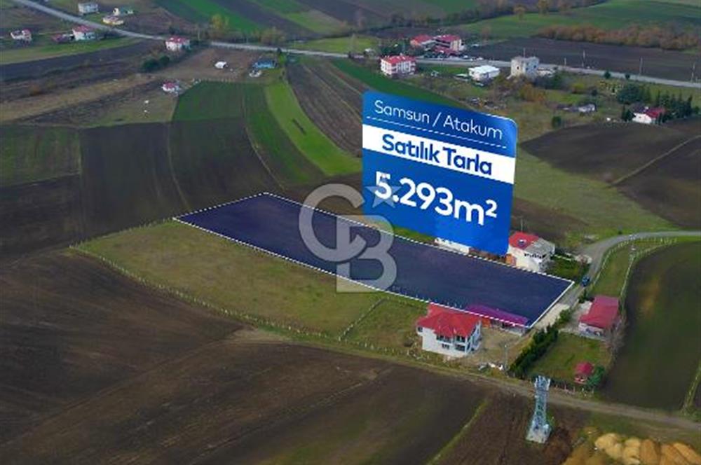 SAMSUN ATAKUM ALANLI'DA SATILIK TARLA